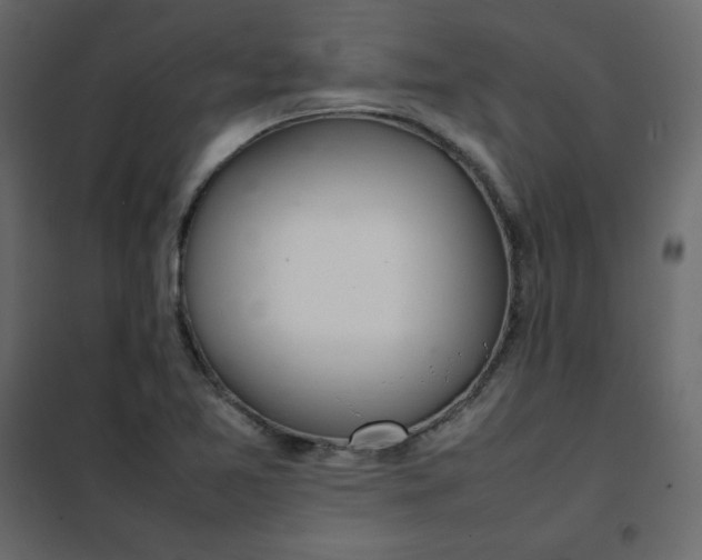 X0000102261365200808081351