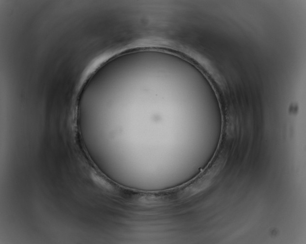 X0000102261366200808081351