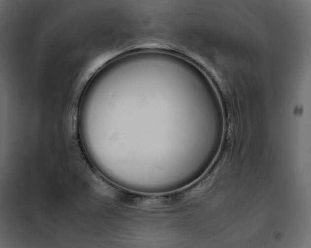 X0000102261367200808081351