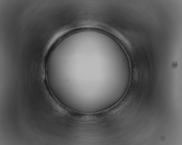 X0000102261368200808081351