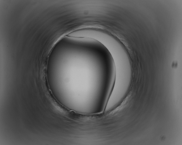 X0000102261369200808081351