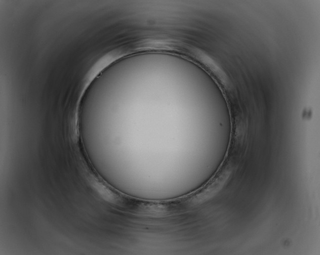 X0000102261370200808081351