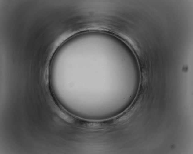 X0000102261371200808081351