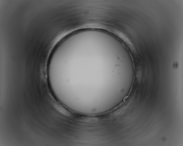 X0000102261372200808081351