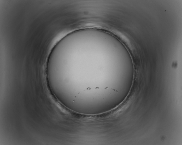 X0000102261373200808081351