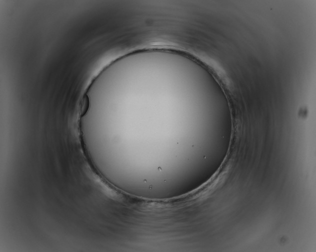 X0000102261374200808081351