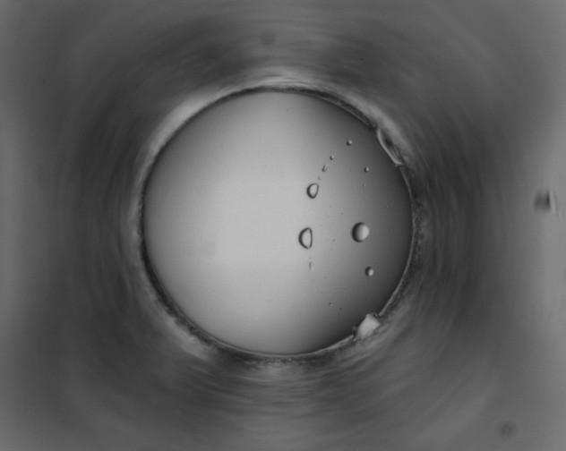 X0000102261375200808081351