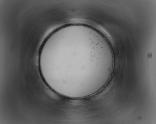 X0000102261376200808081351