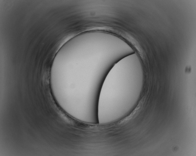 X0000102261377200808081351