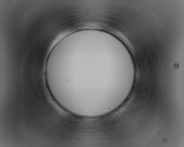 X0000102261378200808081351