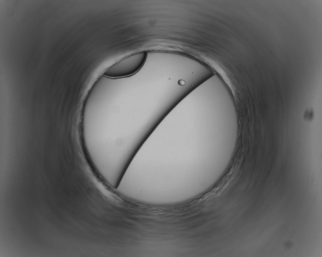 X0000102261379200808081351