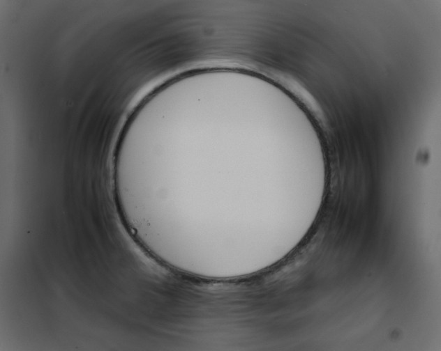 X0000102261380200808081351