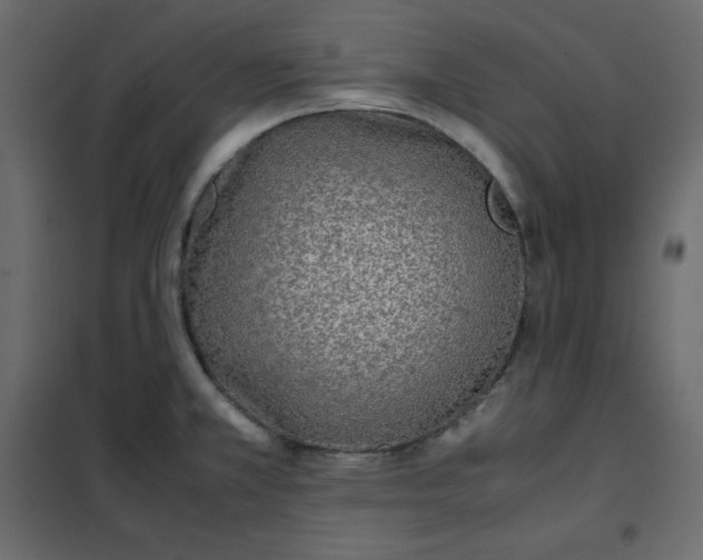 X0000102261381200808081351