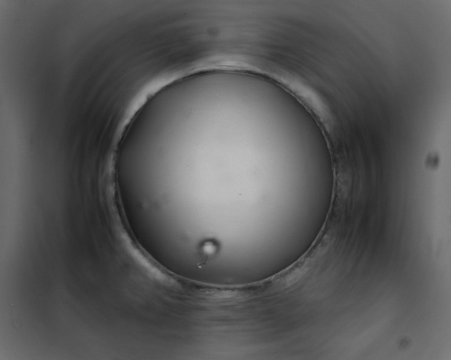 X0000102261382200808081351