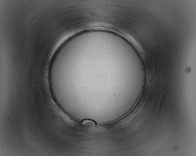 X0000102261384200808081350