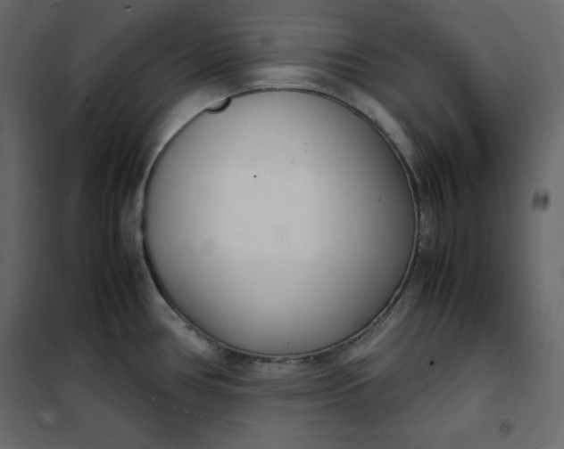 X0000102261386200808081350