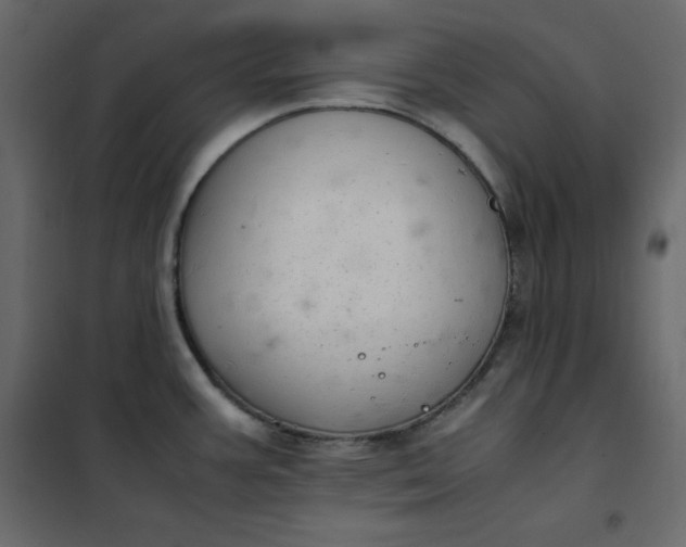 X0000102261387200808081350