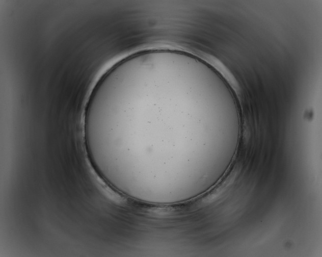 X0000102261388200808081350