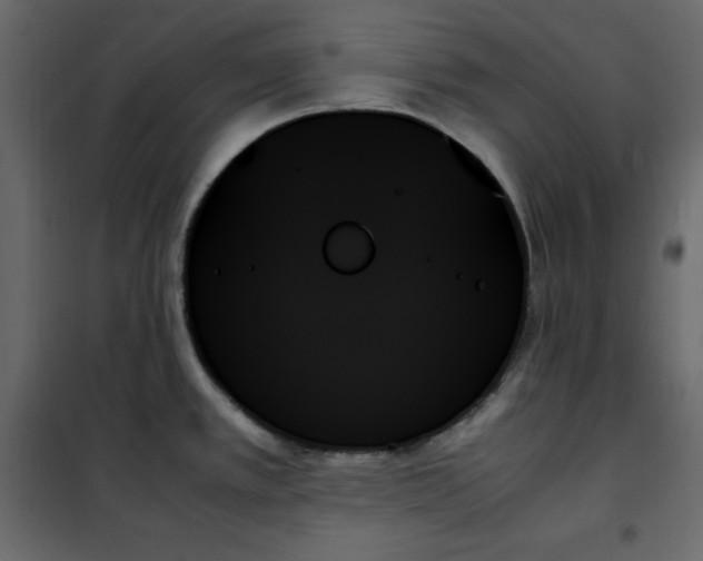 X0000102261389200808081350