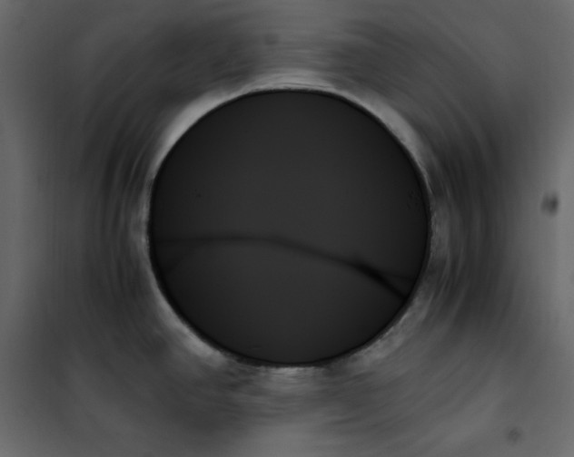 X0000102261390200808081350