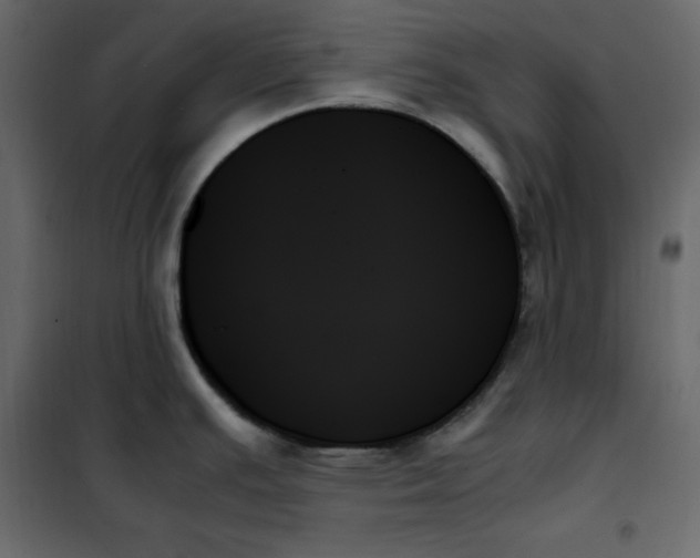 X0000102261391200808081350