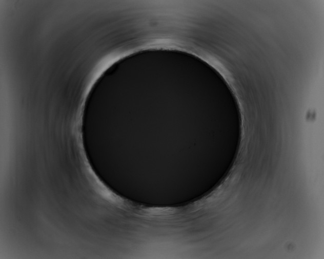 X0000102261392200808081350