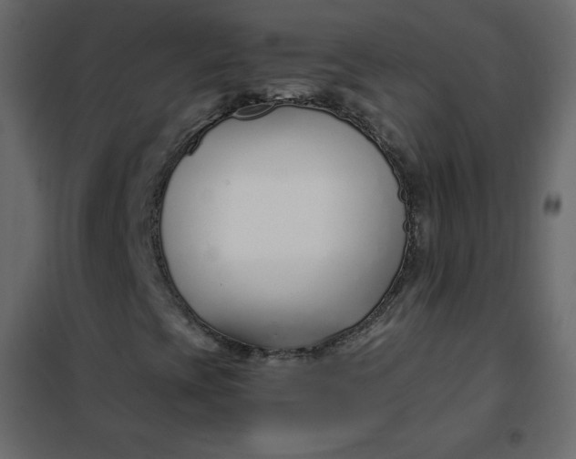 X0000102261393200808081350