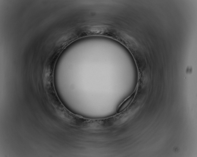 X0000102261394200808081350