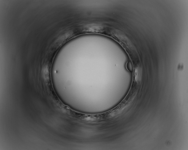 X0000102261395200808081350