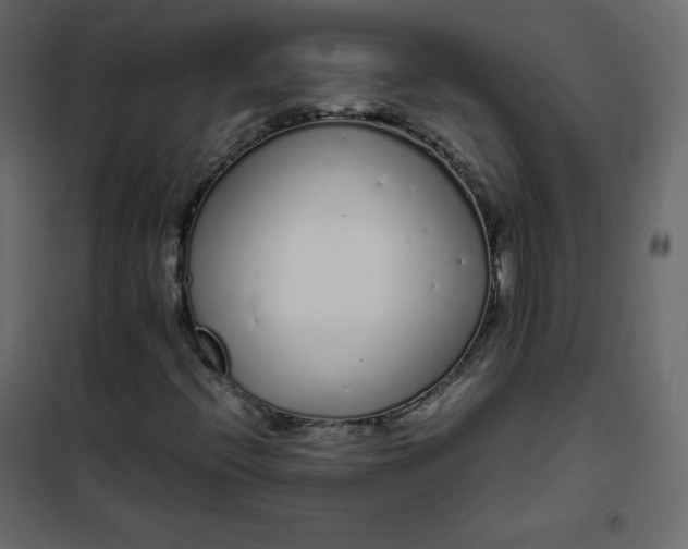 X0000102261396200808081350