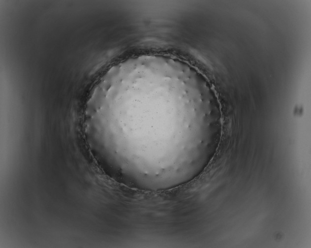 X0000102261397200808081350