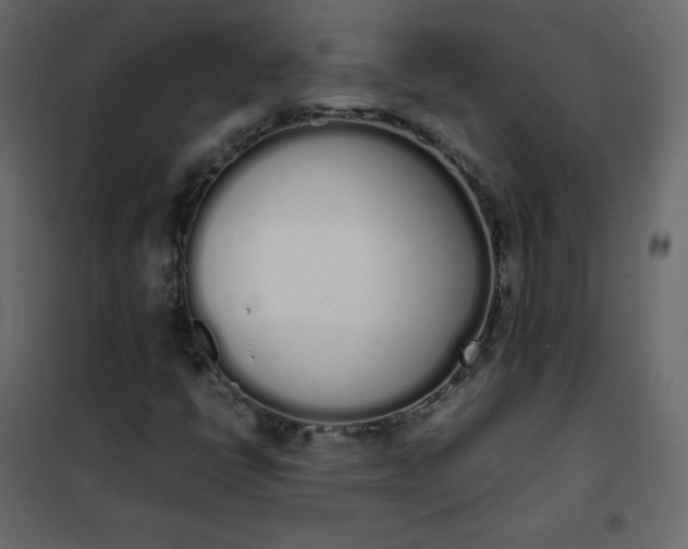 X0000102261398200808081350