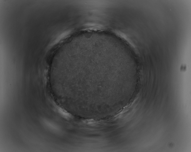 X0000102261399200808081350