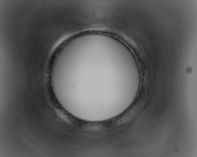 X0000102261400200808081350