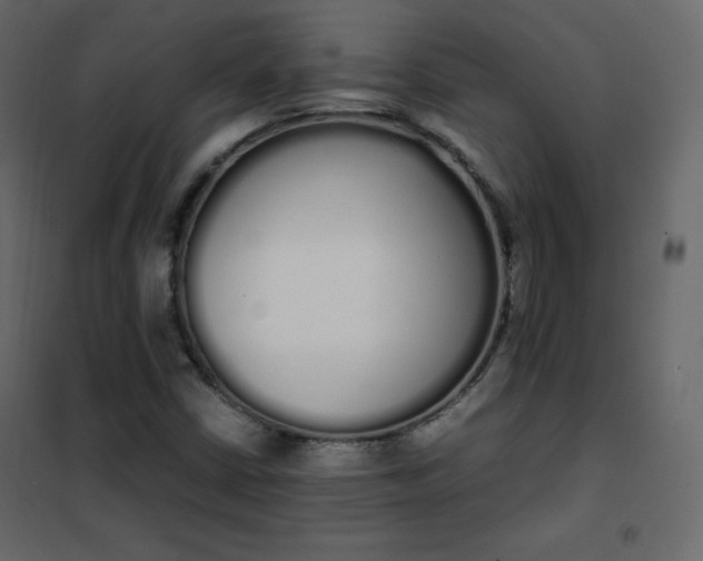 X0000102261402200808081350