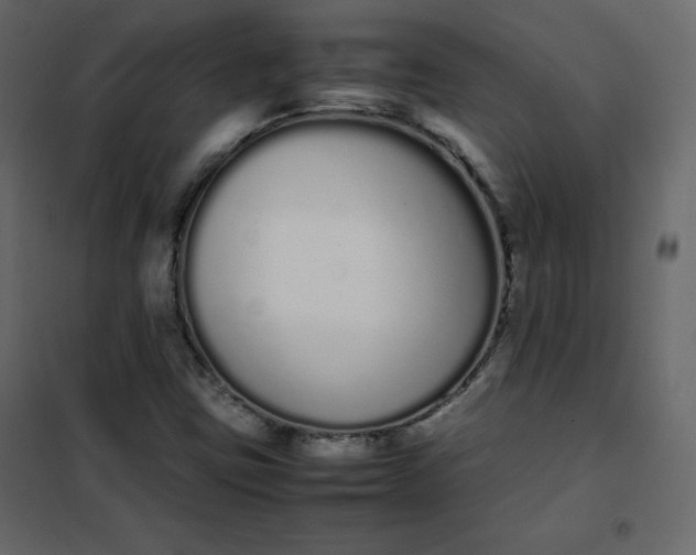 X0000102261403200808081350