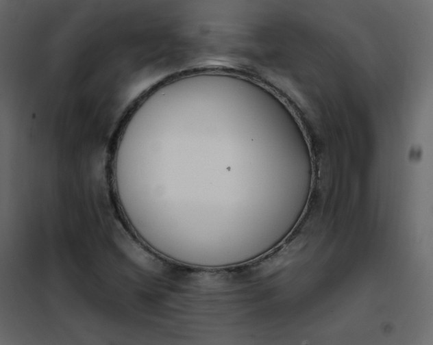 X0000102261404200808081350