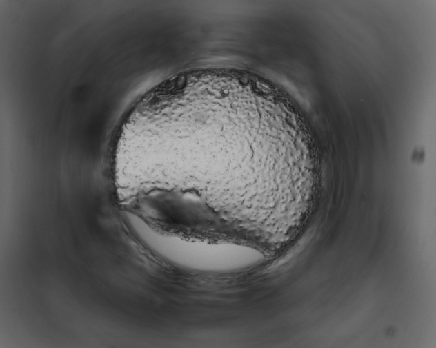 X0000102261405200808081350