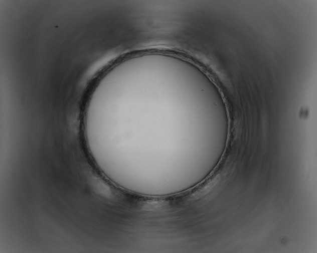 X0000102261406200808081350