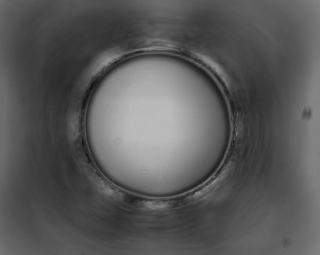 X0000102261407200808081350