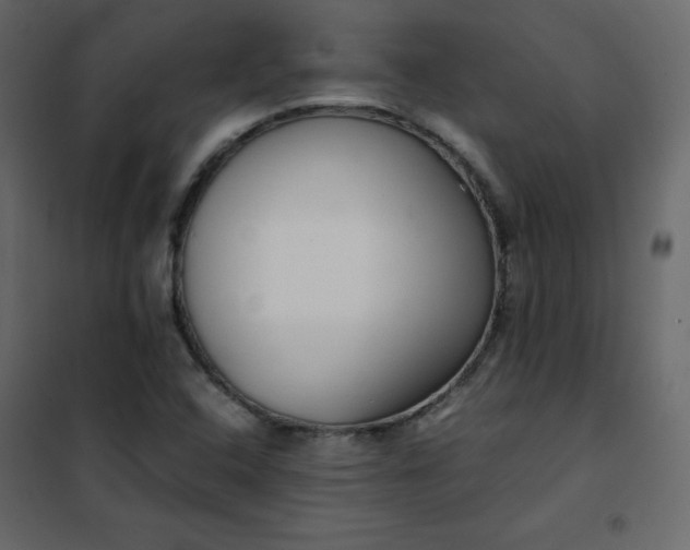 X0000102261408200808081350