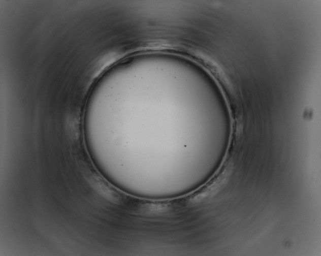 X0000102261409200808081350