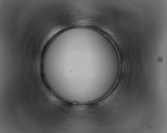 X0000102261410200808081350