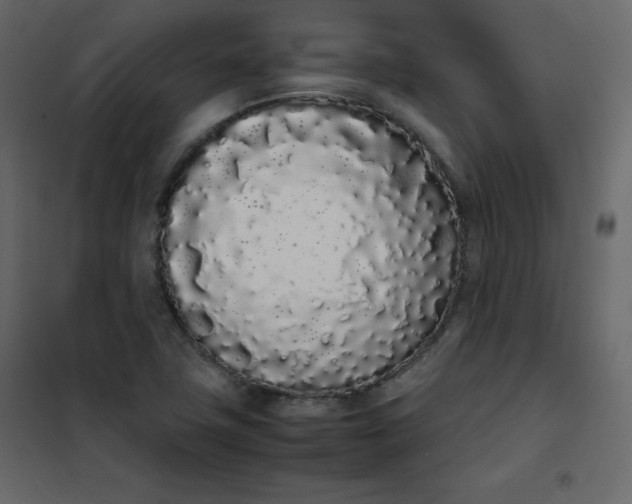 X0000102261411200808081350