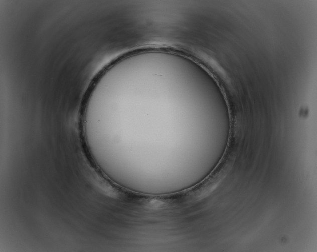 X0000102261412200808081350