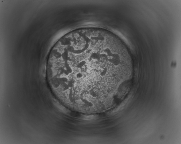 X0000102261413200808081350