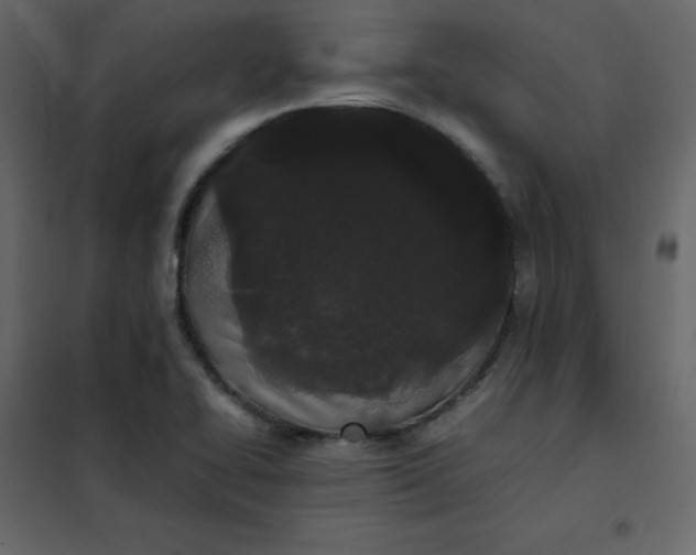 X0000102261414200808081350