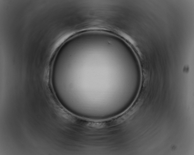 X0000102261415200808081350