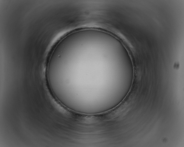 X0000102261416200808081350