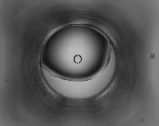 X0000102261417200808081350